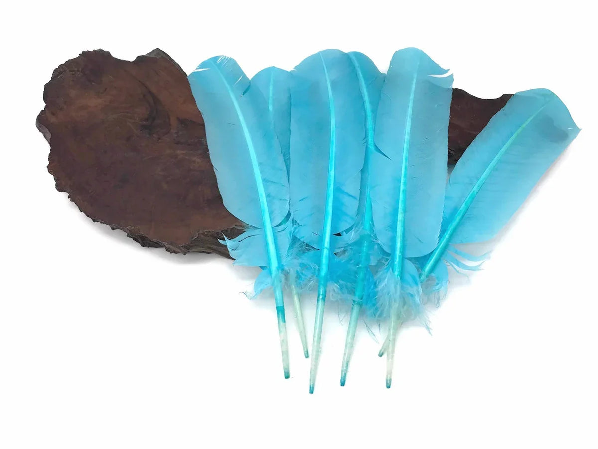 Vibrant turquoise blue craft feathers displayed on a dark wooden base.