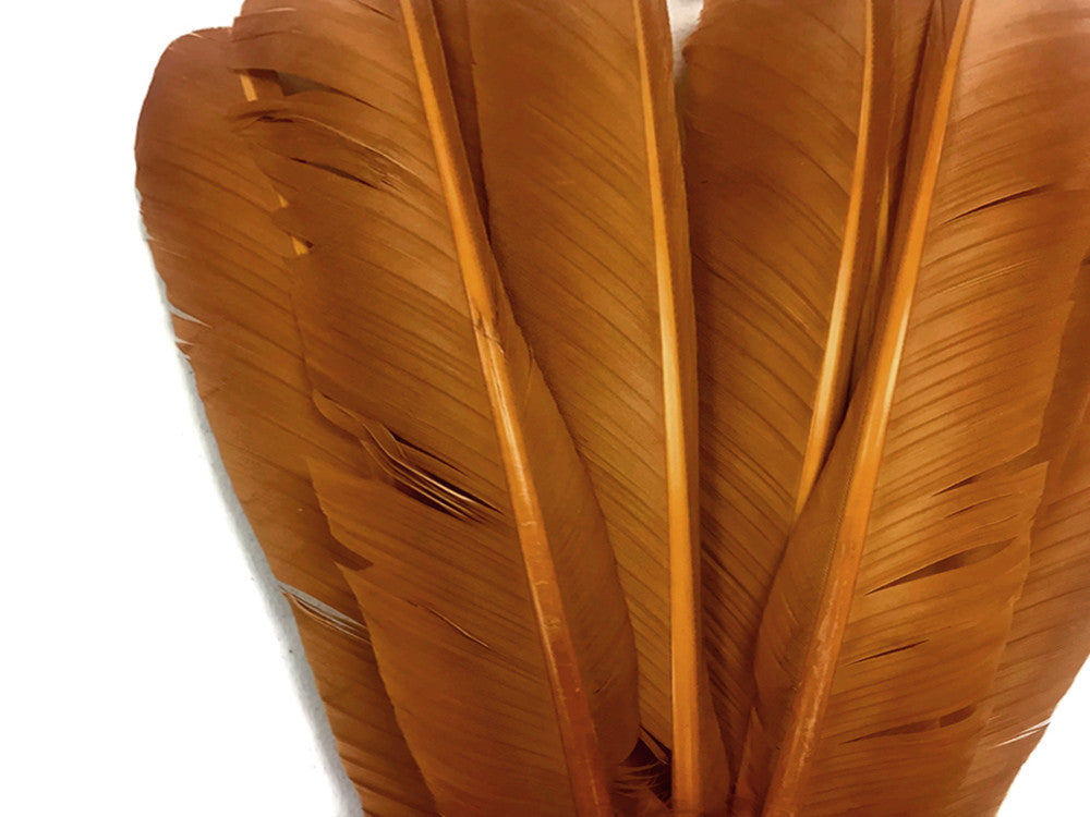 1 Lb. - Light Brown Turkey Rounds Wing Quill Wholesale Feathers (Bulk) Halloween Costume Craft selling Supplier : 4947