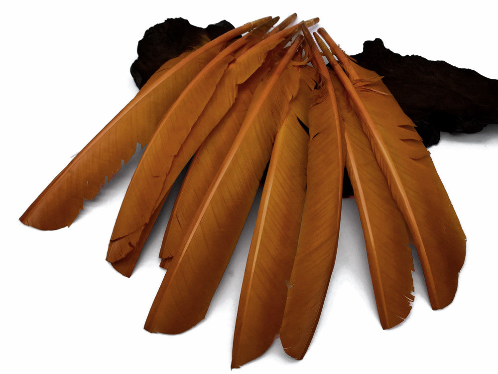 6 Pieces - Light Brown Turkey Pointers Primary Wing Quill Large Feathers