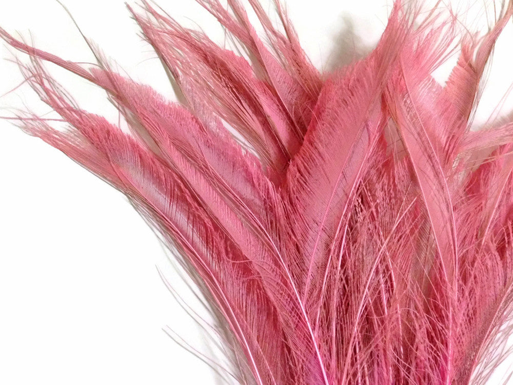 50 Pieces - Baby Pink Bleached & Dyed Peacock Swords Cut Wholesale Feathers (Bulk) 10-12"