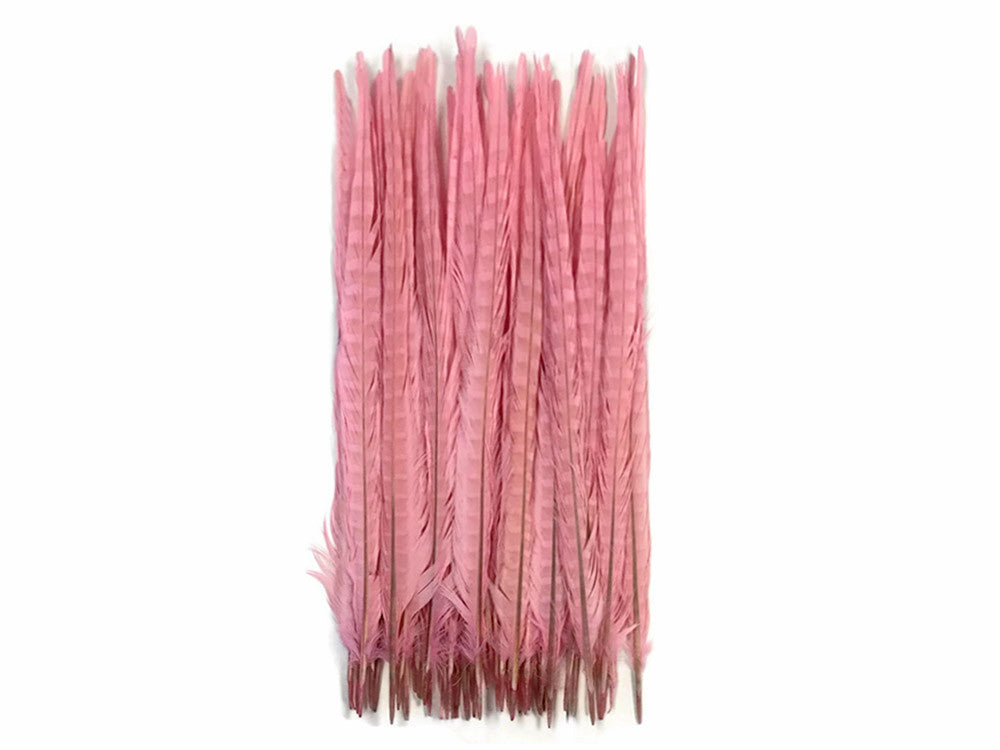 50 Pieces - 18-22" Light Pink Bleached & Dyed Long Ringneck Pheasant Tail Wholesale Feathers (Bulk)