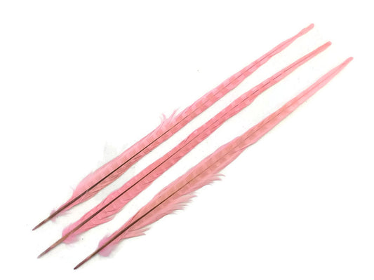 10 Pieces - 18-22" Light Pink Bleached and Dyed Long Ringneck Pheasant Tail Feathers