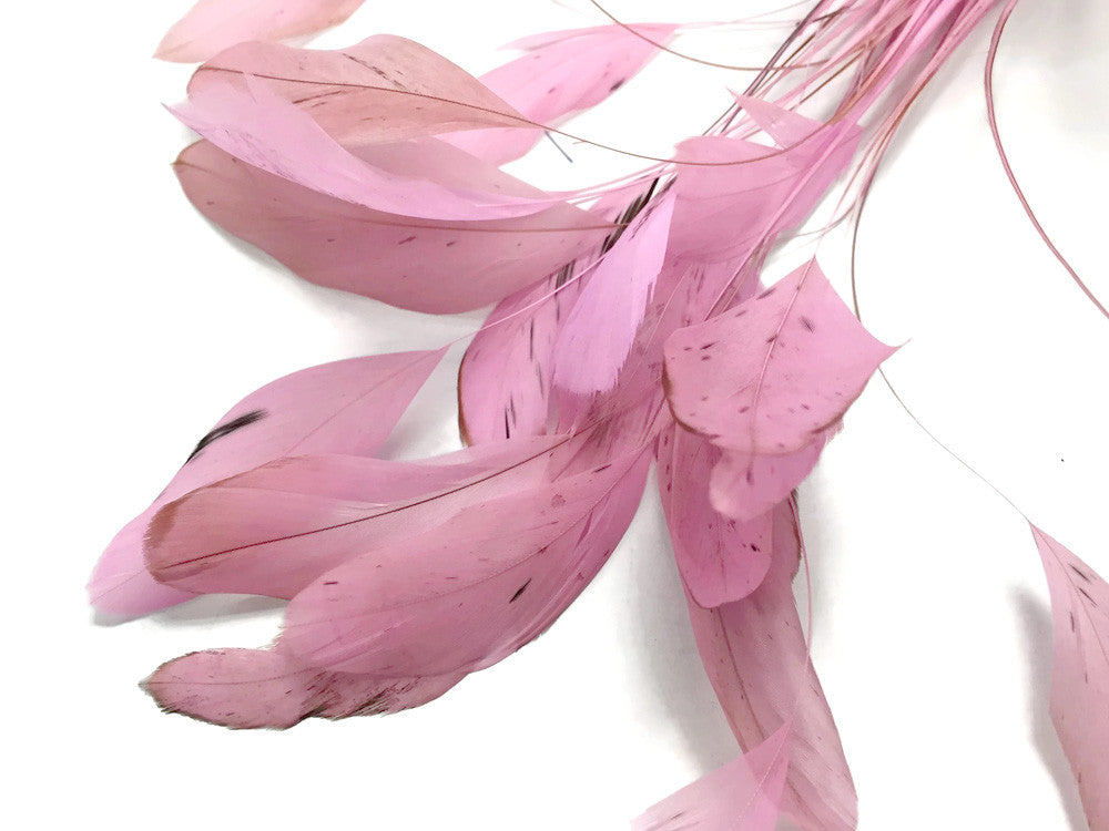 1 Dozen - Light Pink Stripped Rooster Coque Tail Feathers