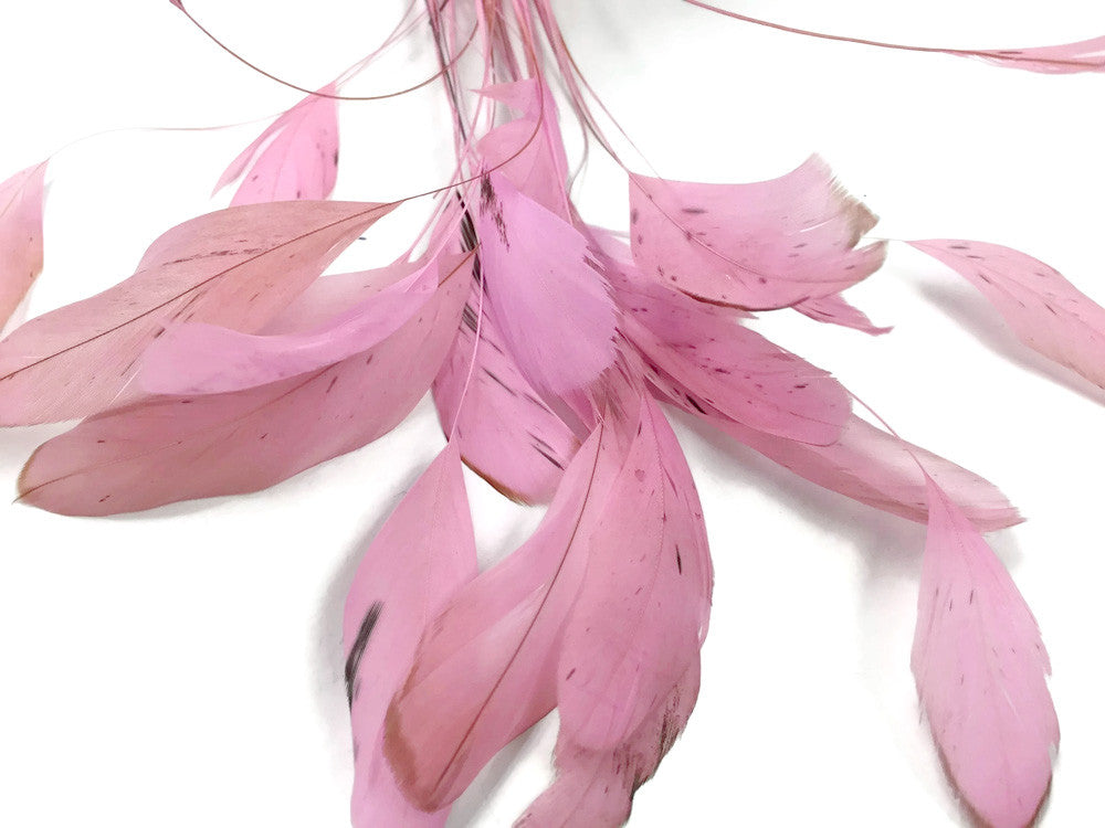 1 Dozen - Light Pink Stripped Rooster Coque Tail Feathers