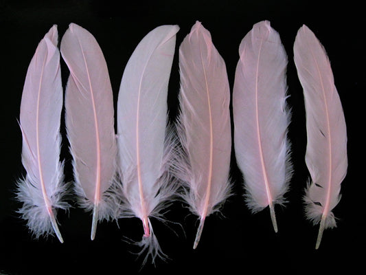 1 Pack - Baby Pink Goose Satinettes Loose Feathers 0.3 Oz.