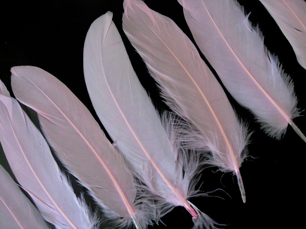 1/4 Lb - Baby Pink Goose Satinettes Wholesale Loose Feathers (Bulk)