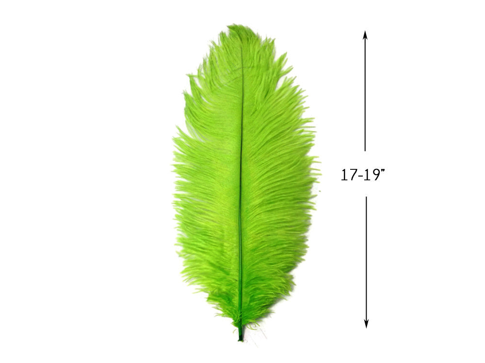 1/2 Lb - 17-19" Lime Ostrich Large Drab Wholesale Feathers (Bulk)