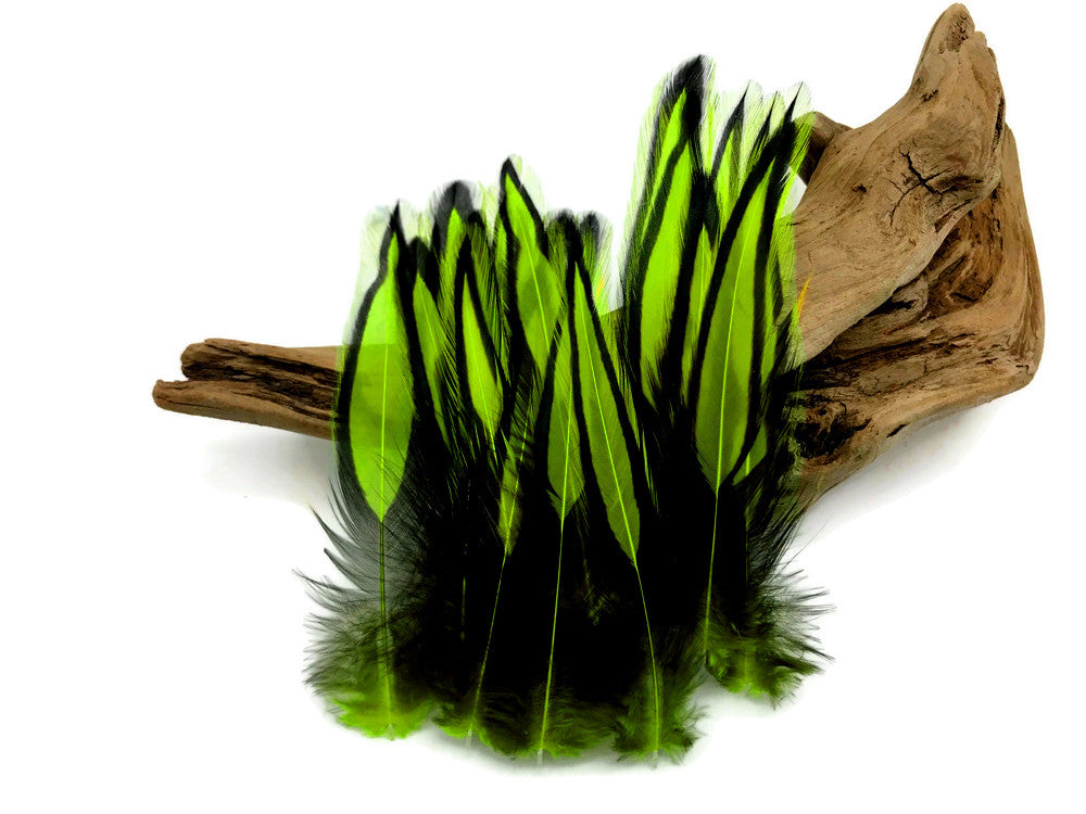 10 Pieces - Lime Green Dyed BLW Laced Long Rooster Cape Whiting Farms Feathers