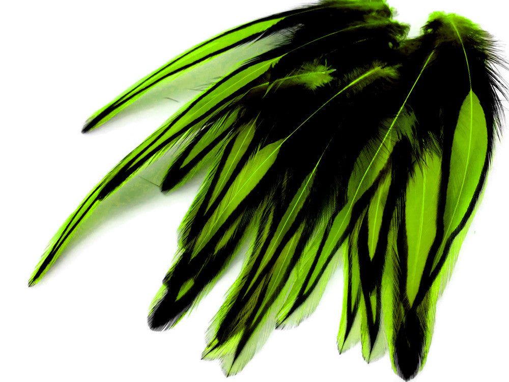 10 Pieces - Lime Green Dyed BLW Laced Long Rooster Cape Whiting Farms Feathers