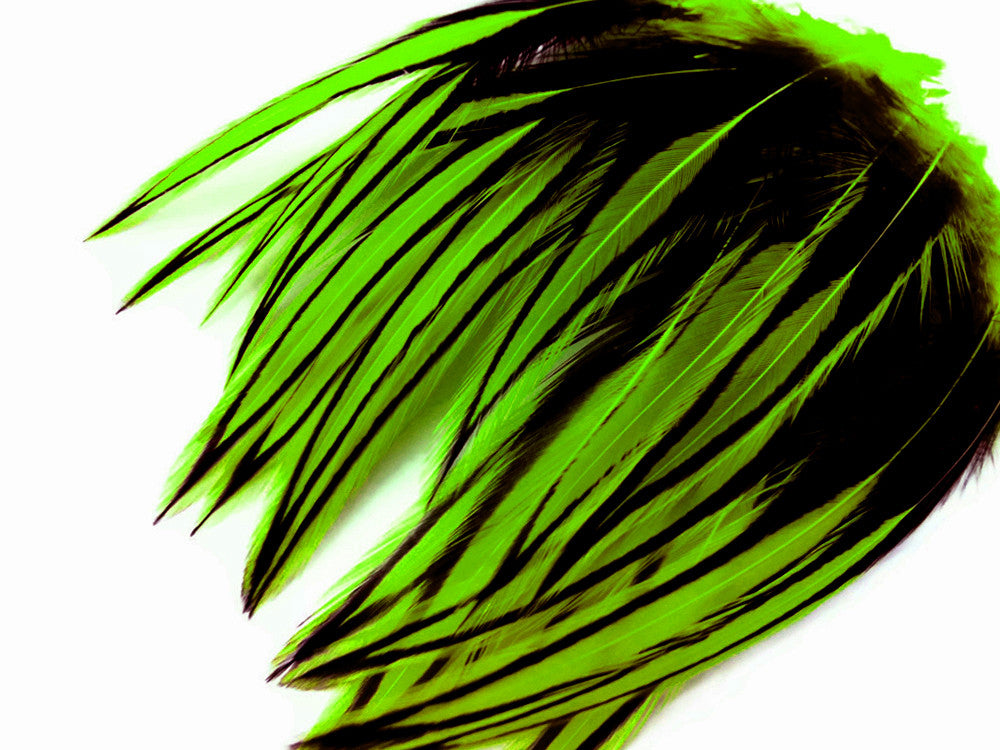 10 Pieces - Lime Green Dyed BLW Laced Long Rooster Cape Whiting Farms Feathers