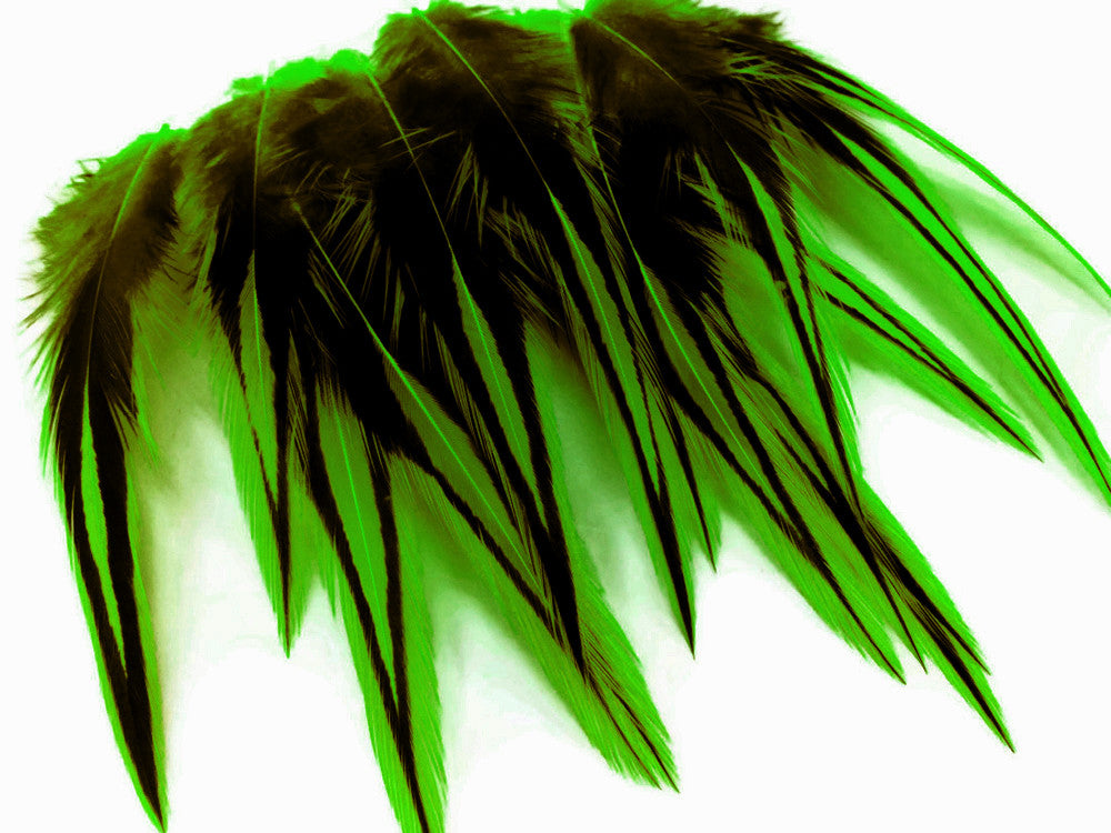 10 Pieces - Lime Green Dyed BLW Laced Short Rooster Cape Whiting Farms Feathers