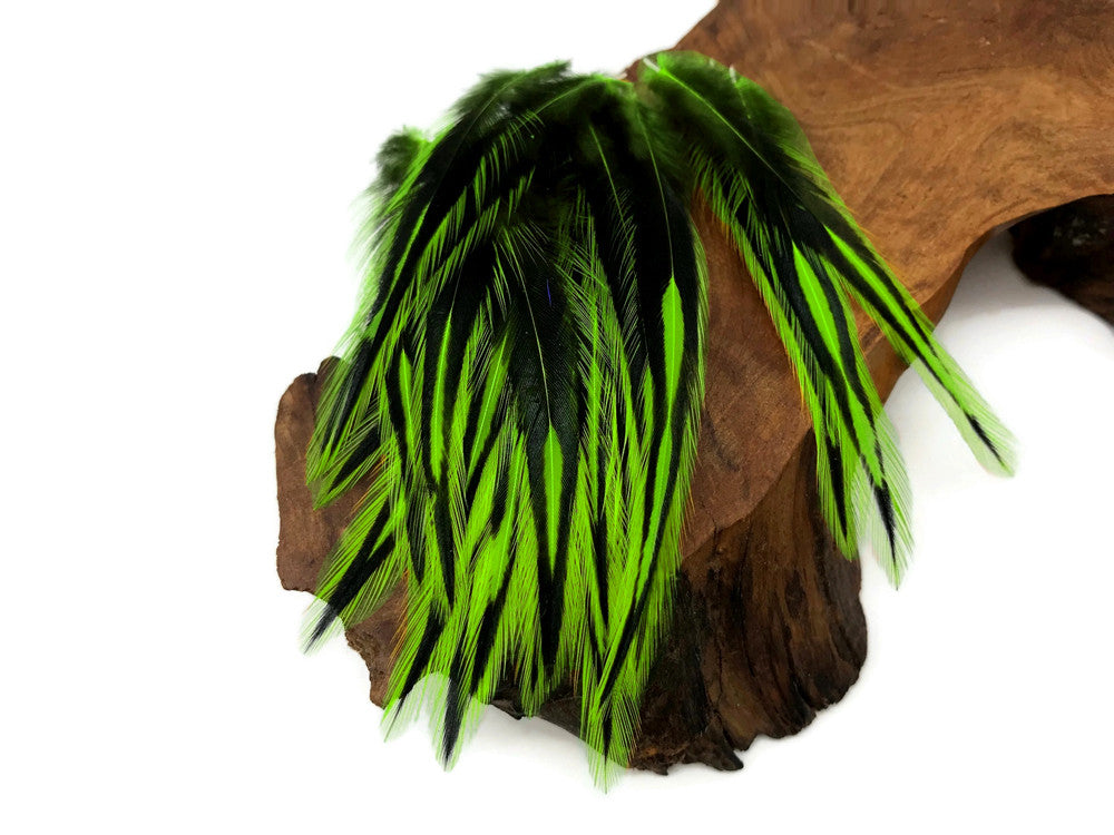 10 Pieces - Lime Green Dyed BLW Laced Short Rooster Cape Whiting Farms Feathers