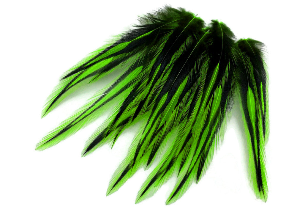 10 Pieces - Lime Green Dyed BLW Laced Short Rooster Cape Whiting Farms Feathers