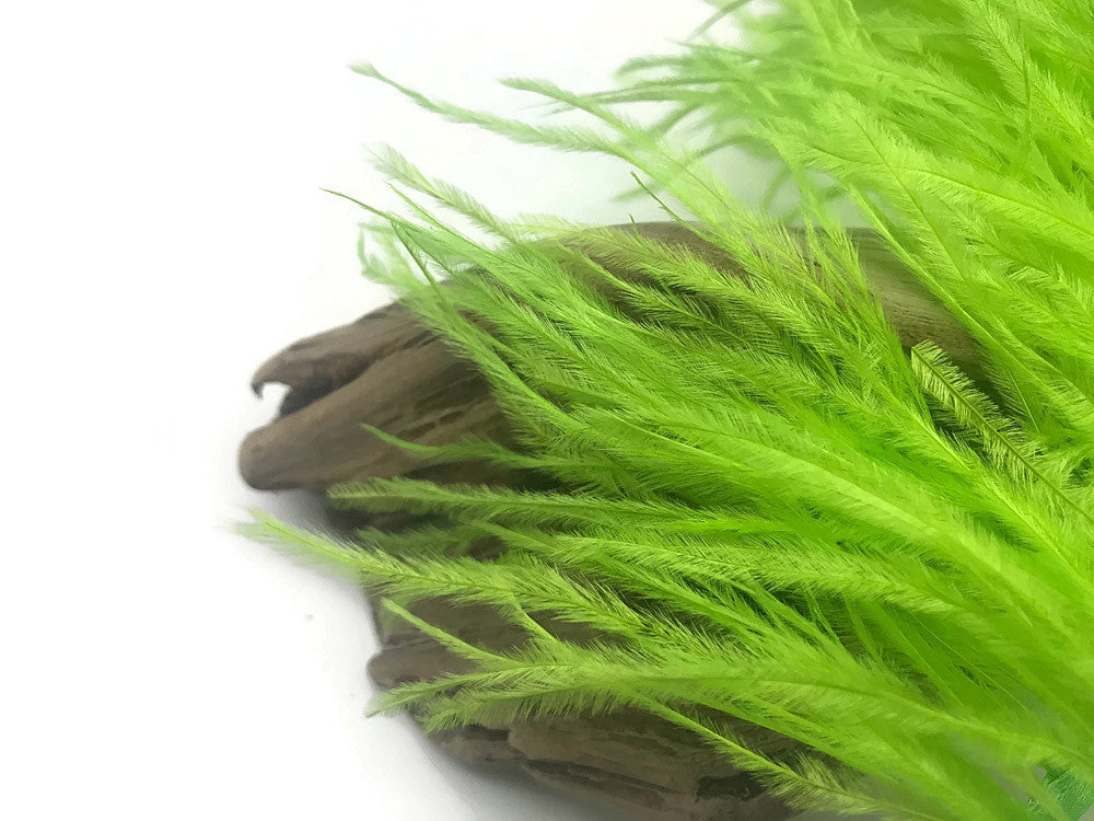 10 Yards - Lime Green Ostrich Fringe Trim Wholesale Feather (Bulk)