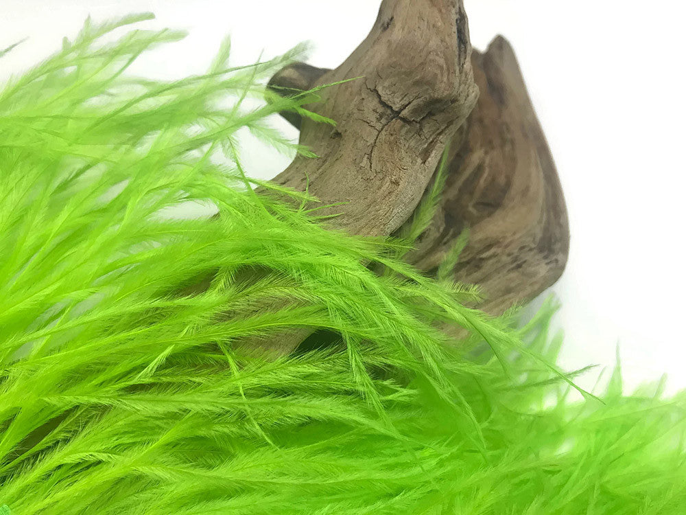 6 Inch Strip - Lime Green Ostrich Fringe Trim Feather