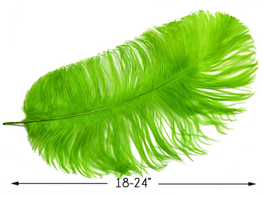 2 Pieces - 18-24" Lime Green Large Prime Grade Ostrich Wing Plume Centerpiece Feathers