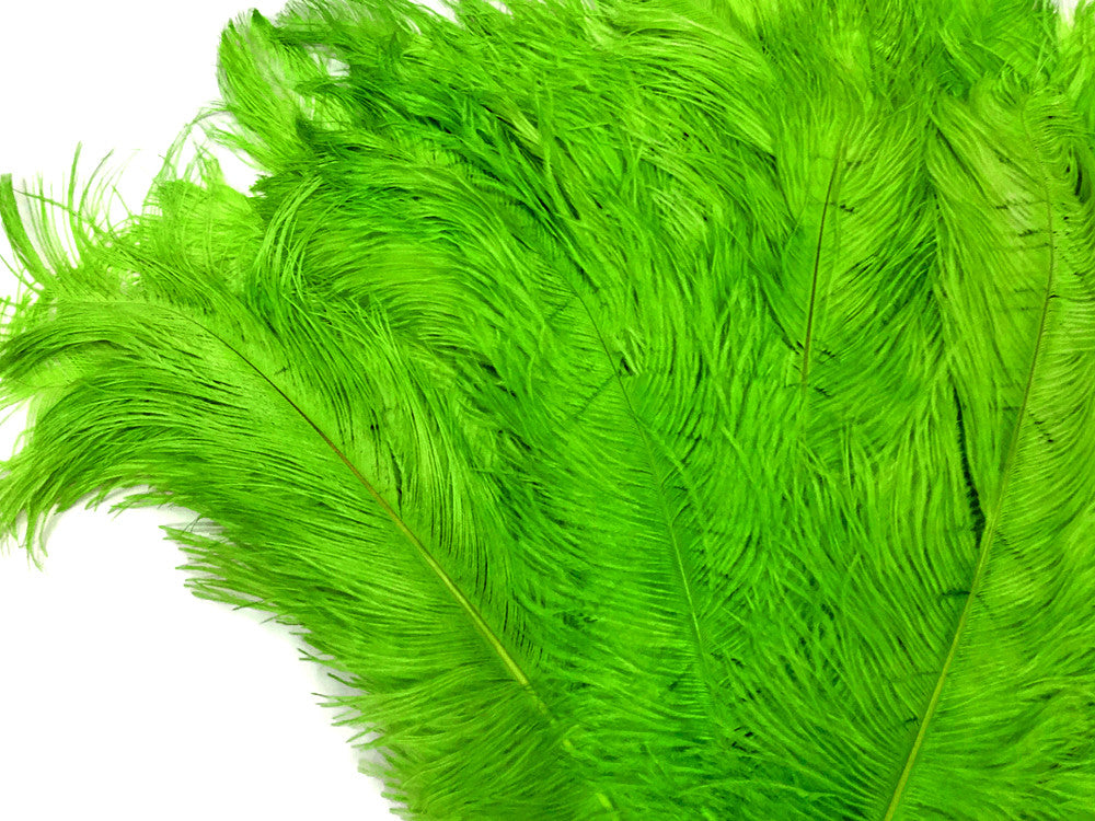 2 Pieces - 18-24" Lime Green Large Prime Grade Ostrich Wing Plume Centerpiece Feathers