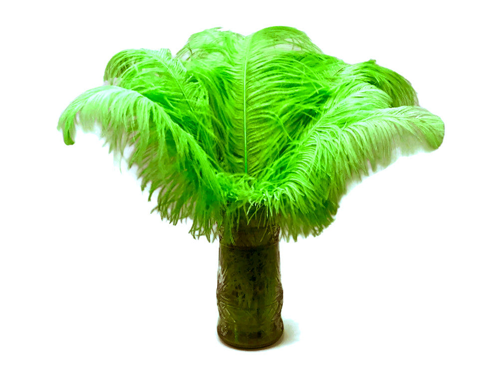 1/2 Lb. - 25-29" Lime Green Large Ostrich Wing Plume Wholesale Feathers (Bulk) 