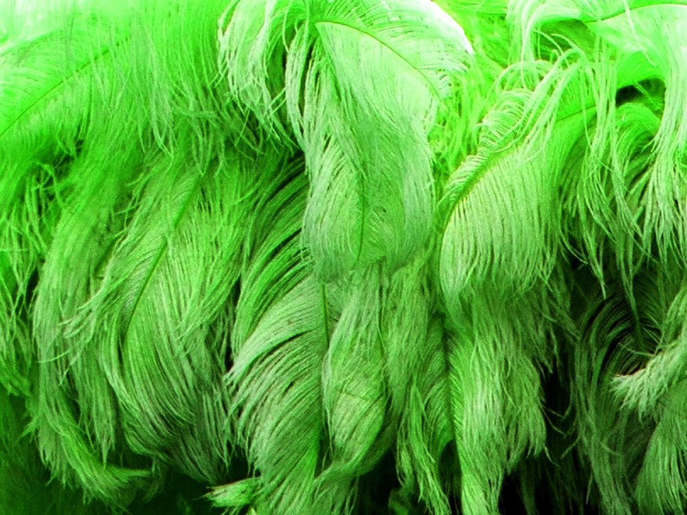 1/2 Lb. - 25-29" Lime Green Large Ostrich Wing Plume Wholesale Feathers (Bulk) 