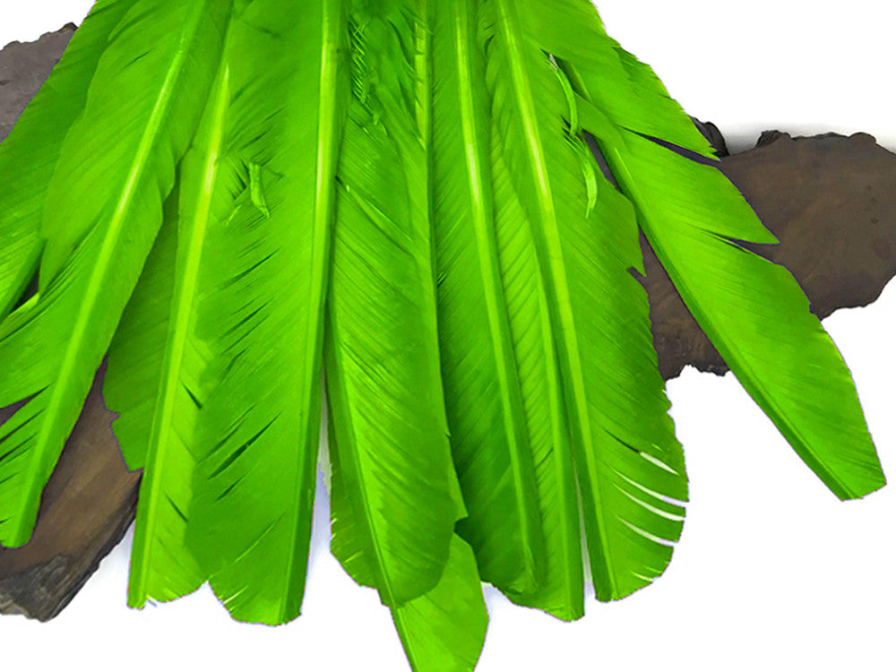 1/4 Lb - Lime Green Turkey Pointers Primary Wing Quill Large Wholesale Feathers (Bulk)