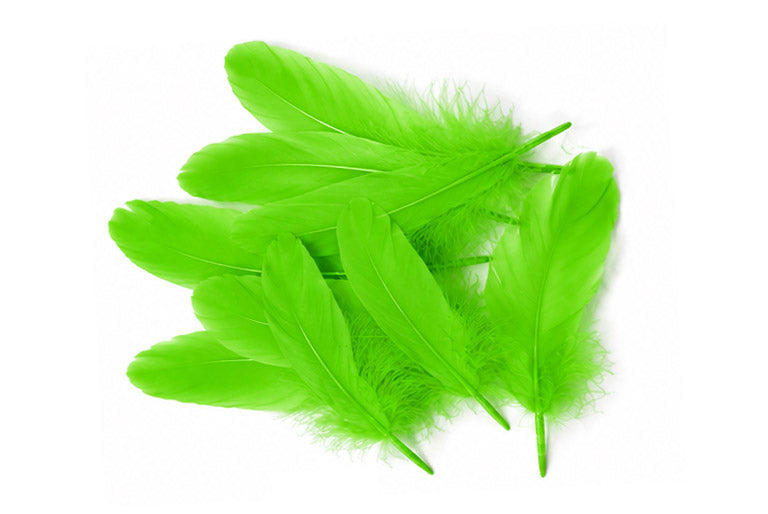 1 Pack - Lime Green Goose Satinettes Pallet Soft Wing Quill Loose Feathers - 0.3 Oz