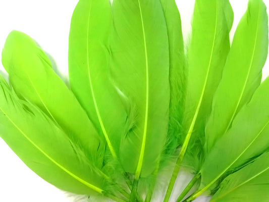 1/4 lbs. - Lime Green Goose Satinettes Pallet Soft Wing Quill Wholesale Feathers (Bulk)