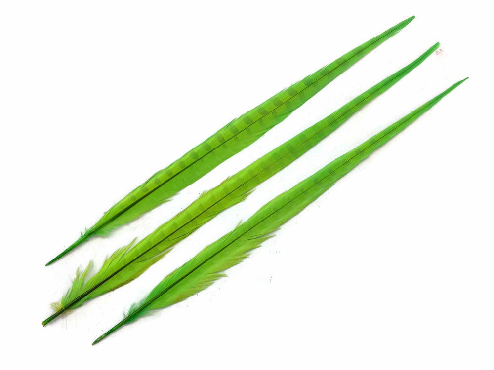 10 Pieces - 18-22" Lime Green Bleached and Dyed Long Ringneck Pheasant Tail Feathers