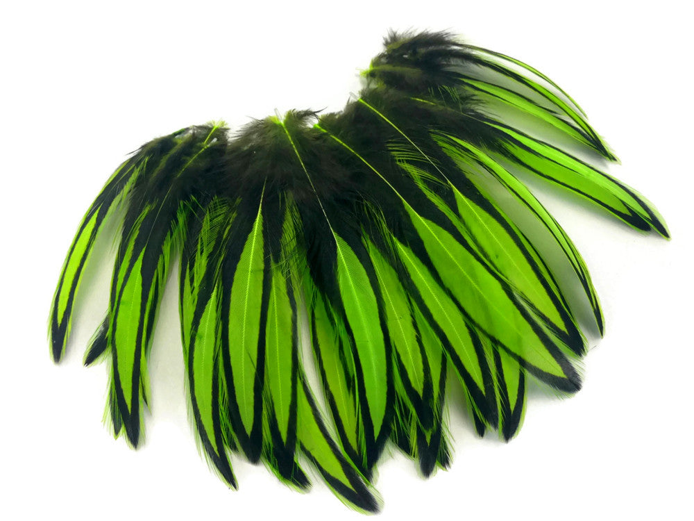 1 Dozen - Lime Green Whiting Farms BLW Laced Hen Cape Loose Feathers