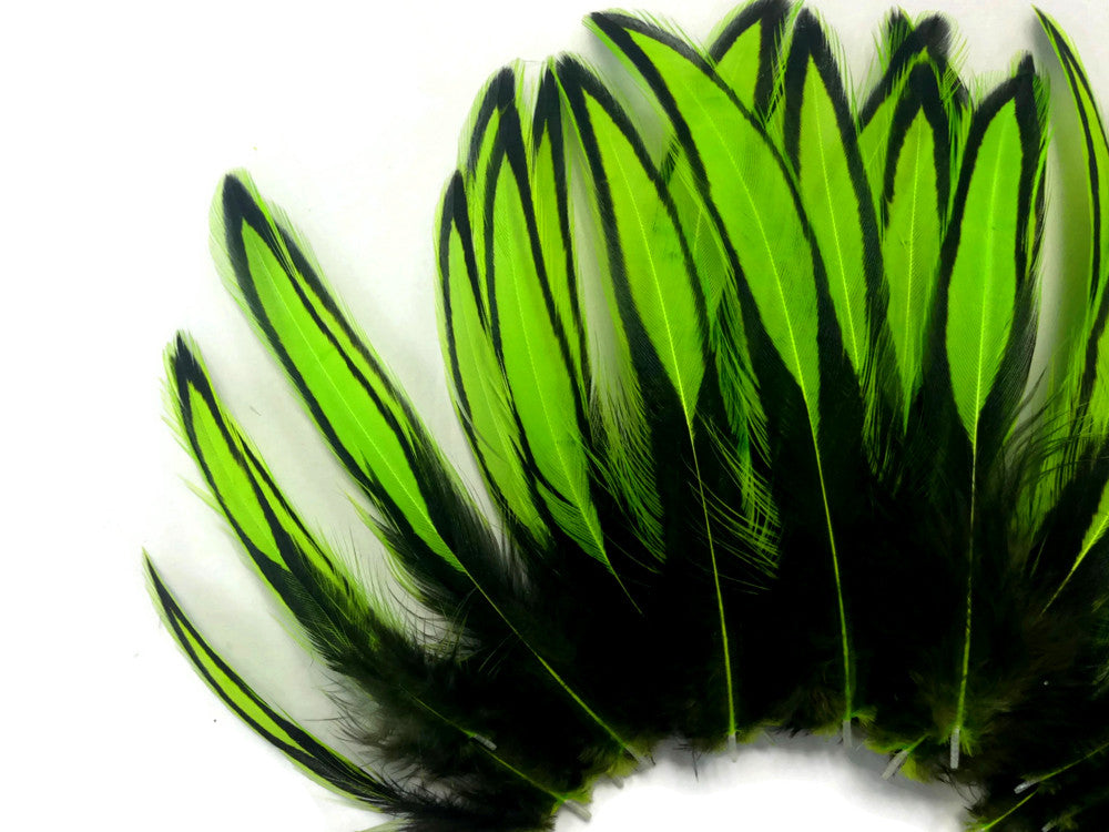 1 Dozen - Lime Green Whiting Farms BLW Laced Hen Cape Loose Feathers