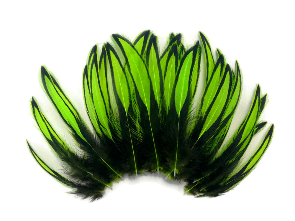 1 Dozen - Lime Green Whiting Farms BLW Laced Hen Cape Loose Feathers