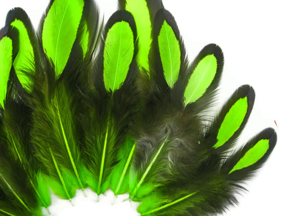 1 Dozen - Lime Green Whiting Farms Laced Hen Saddle Feathers