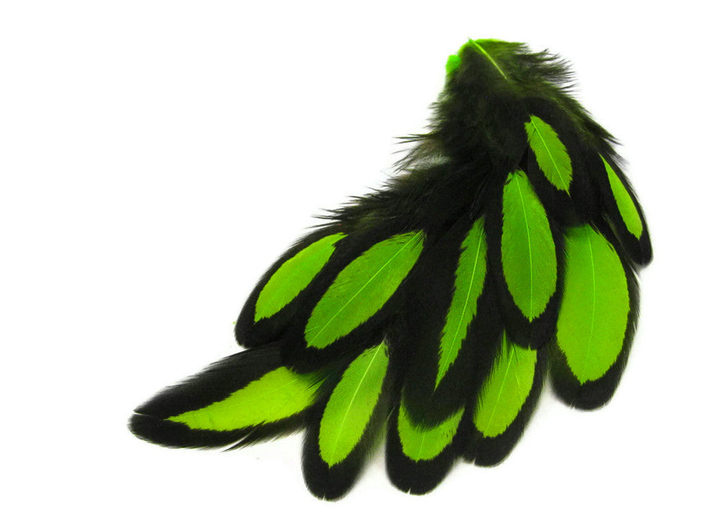 1 Dozen - Lime Green Whiting Farms Laced Hen Saddle Feathers