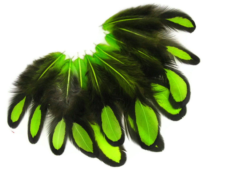 1 Dozen - Lime Green Whiting Farms Laced Hen Saddle Feathers