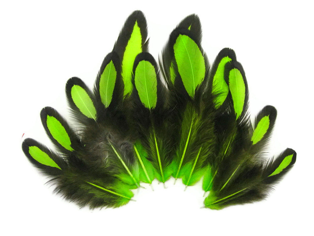 1 Dozen - Lime Green Whiting Farms Laced Hen Saddle Feathers