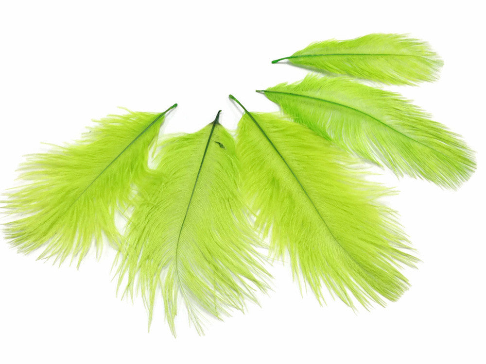 Wholesale Pack - Lime Green Ostrich Small Confetti Feathers (Bulk)