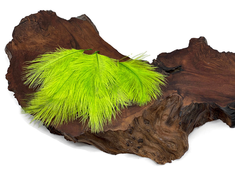 Wholesale Pack - Lime Green Ostrich Small Confetti Feathers (Bulk)