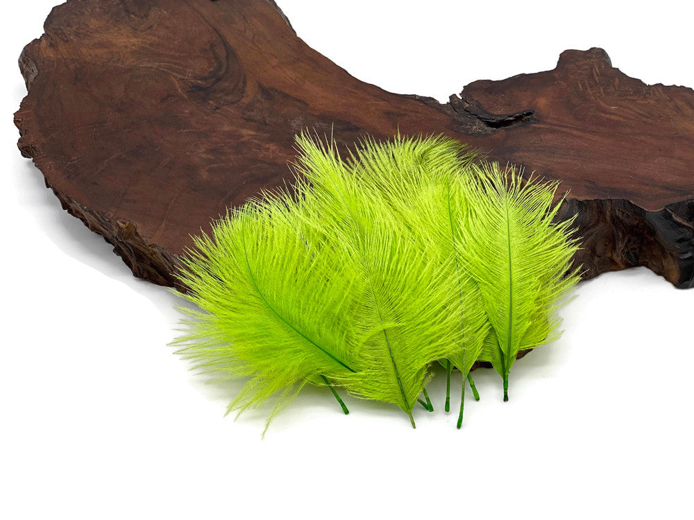 Wholesale Pack - Lime Green Ostrich Small Confetti Feathers (Bulk)