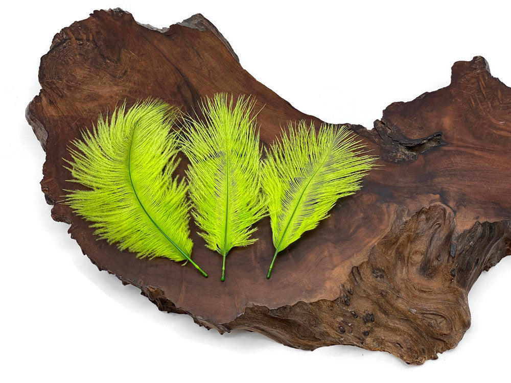 1 Pack - Lime Green Ostrich Small Confetti Feathers 0.3 Oz