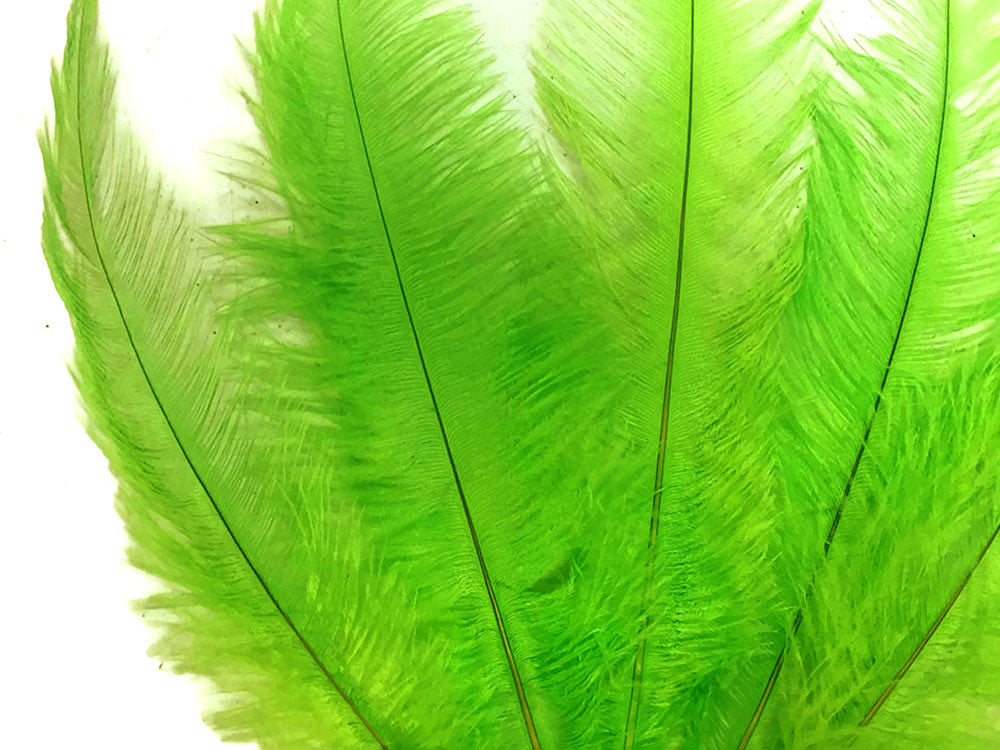 20 Pieces - Lime Green Mini Spads Ostrich Chick Body Feathers