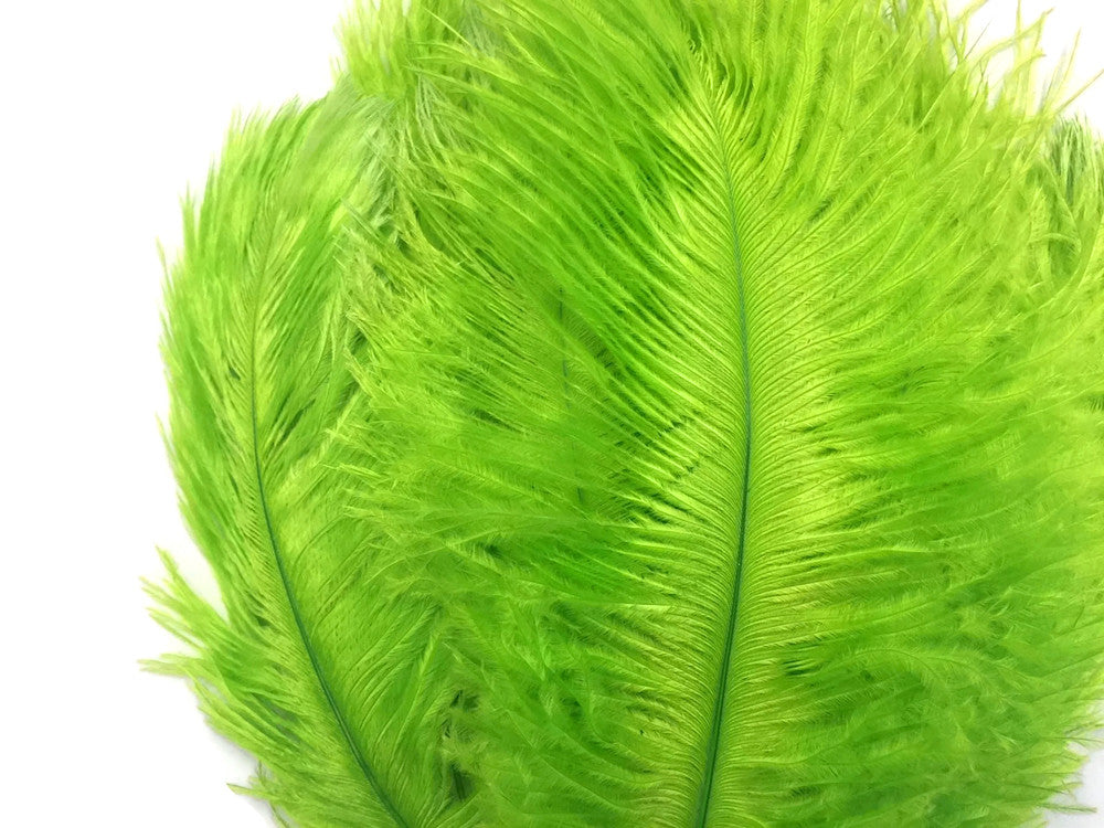 10 Pieces - 19-24" Lime Green Ostrich Dyed Drabs Body Feathers