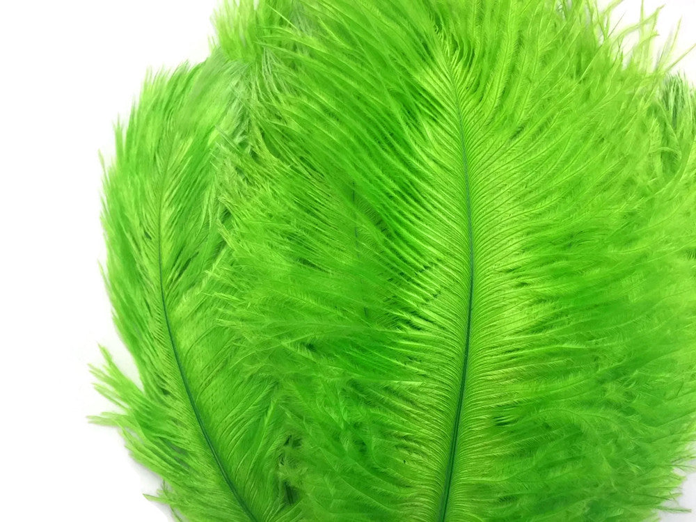 10 Pieces - 11-13" Lime Green Bleached & Dyed Ostrich Drabs Body Feathers