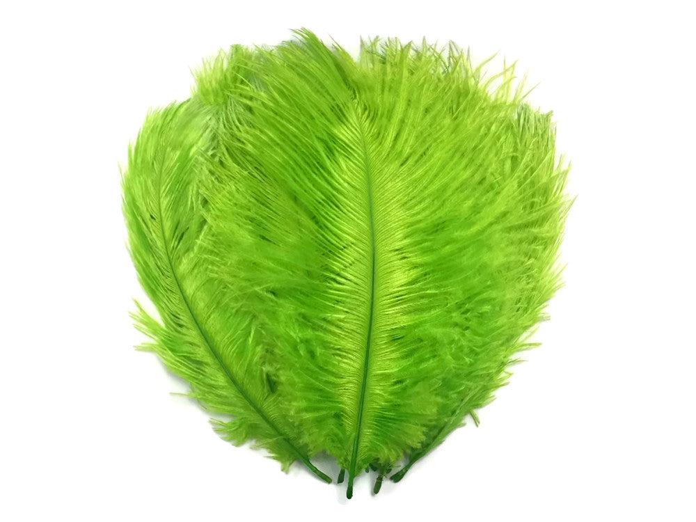 1/2 lb. - 14-17" Lime Green Ostrich Large Body Drab Wholesale Feathers (Bulk)