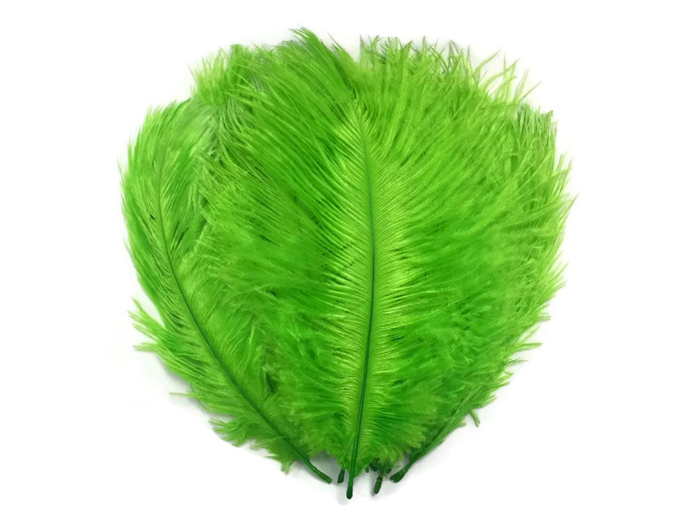 10 Pieces - 11-13" Lime Green Bleached & Dyed Ostrich Drabs Body Feathers