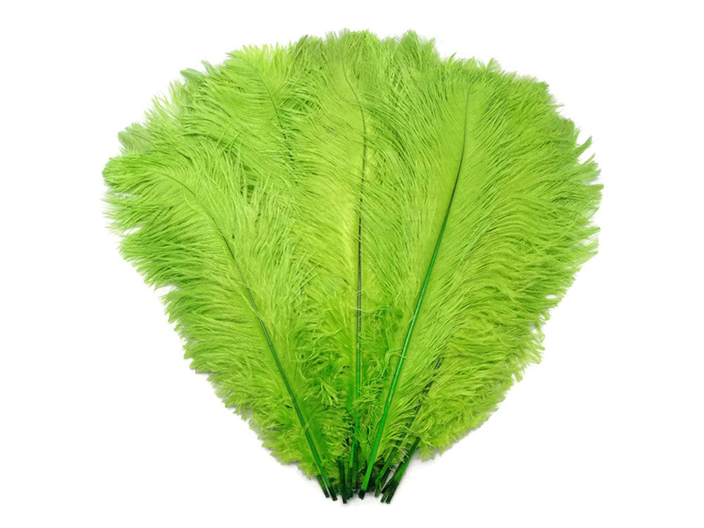 100 Pieces - 8-10" Lime Green Ostrich Dyed Drab Body Wholesale Feathers (Bulk)