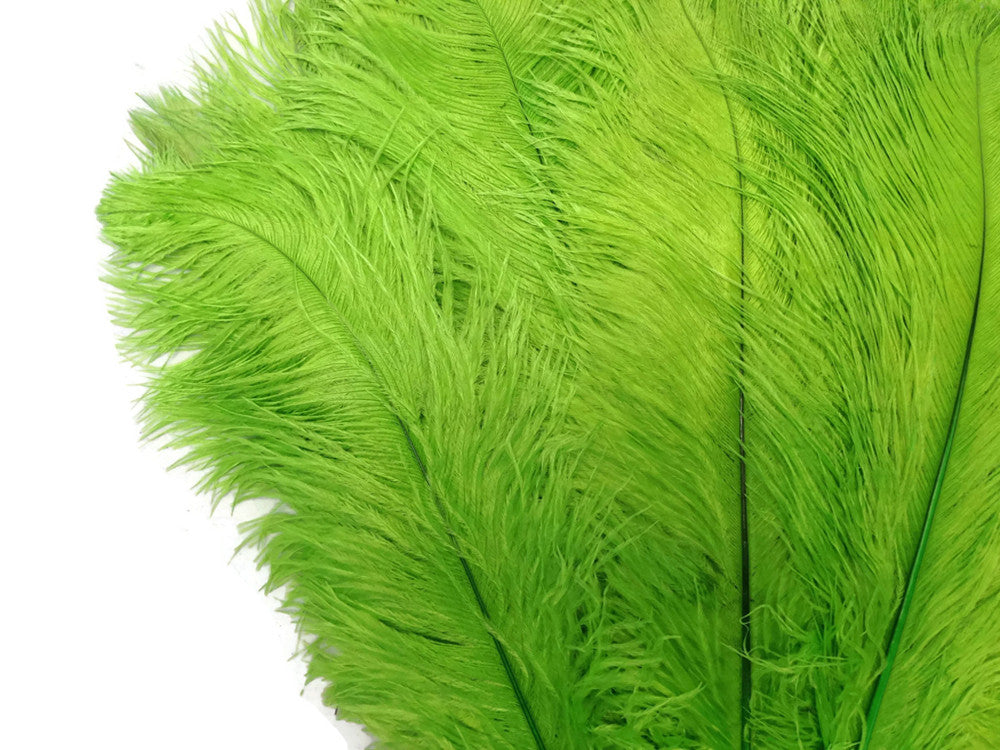 10 Pieces - 11-13" Lime Green Bleached & Dyed Ostrich Drabs Body Feathers