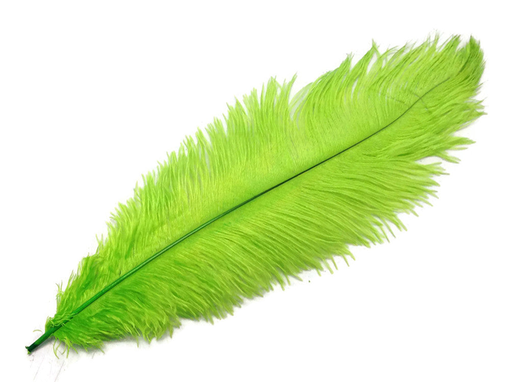 10 Pieces - 11-13" Lime Green Bleached & Dyed Ostrich Drabs Body Feathers