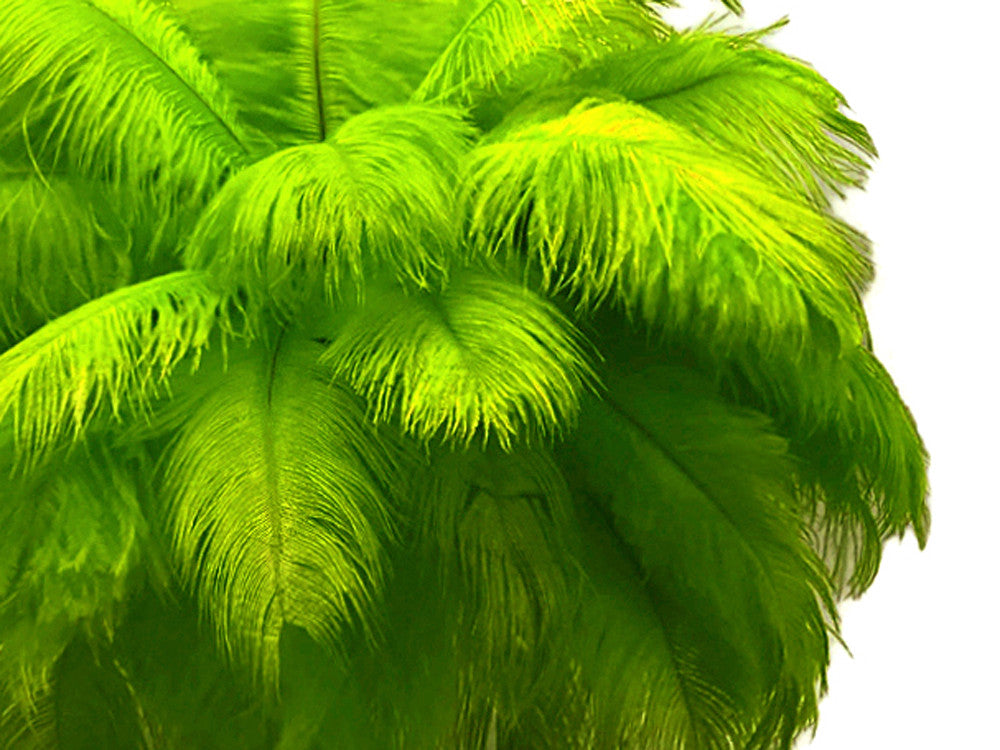 10 Pieces - 6-8" Lime Green Ostrich Dyed Drabs Body Feathers