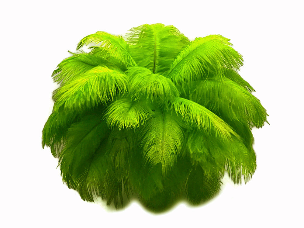 10 Pieces - 19-24" Lime Green Ostrich Dyed Drabs Body Feathers