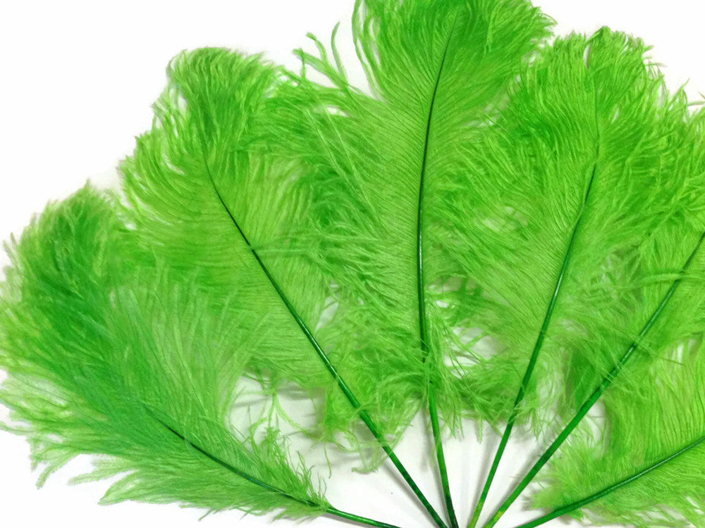 10 Pieces -  12-16" Lime Green Dyed Ostrich Tail Fancy Feathers