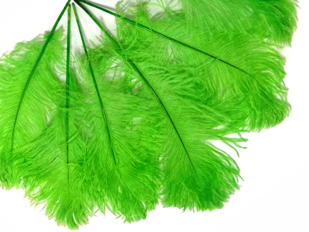 10 Pieces -  12-16" Lime Green Dyed Ostrich Tail Fancy Feathers